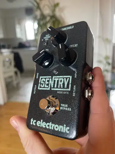 TC Electronic Sentry, View more