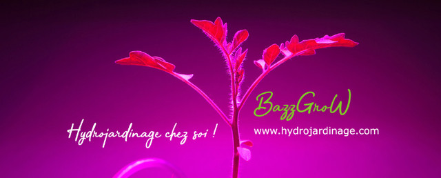 Bac hydroponique pour gros plants dans Plantes, engrais et terreaux  à Laval/Rive Nord - Image 3