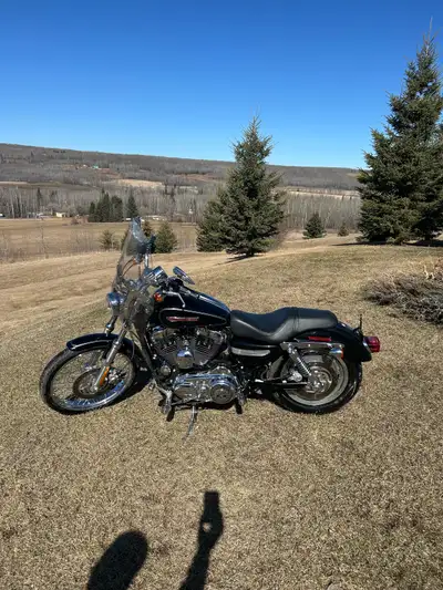 2008 1200 sportster low. 5,700 kms. Willy G pegs grips very custom. Detachable windshield. Flush mou...