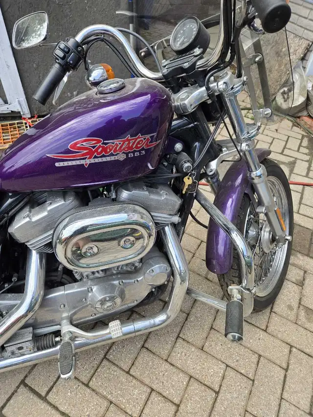 2002 Harley Davidson sportster 883 Hugger in Street, Cruisers & Choppers in Sudbury - Image 2