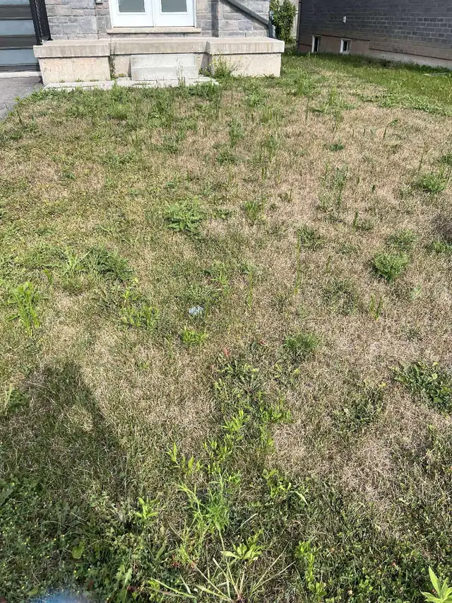 Lawn Mowing and Maintenance Services63611969560579121