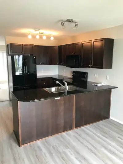 2 bedroom condo for rent