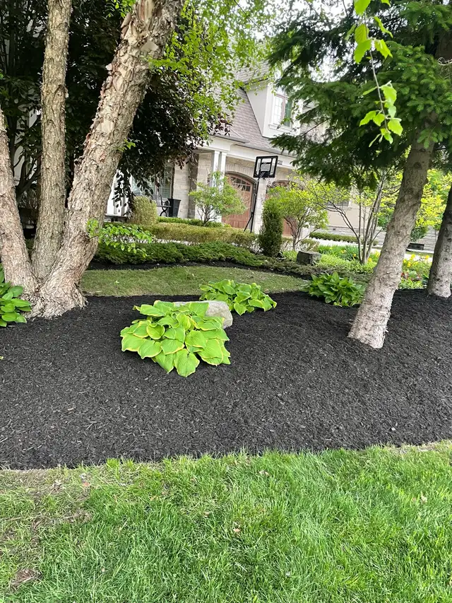 landscaping/ clean up and weed picking62863224879490121