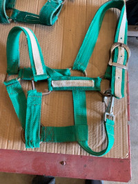 Horse Halters, harness, primitives, and more