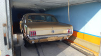 1966 Mustang intérieur Pony