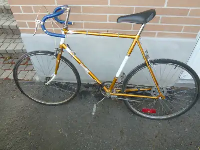 Raleigh Sport Bicycle, View more