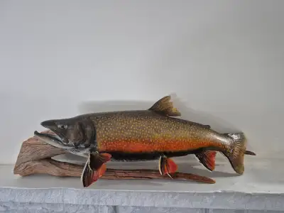 Antique trout wall mount, View more