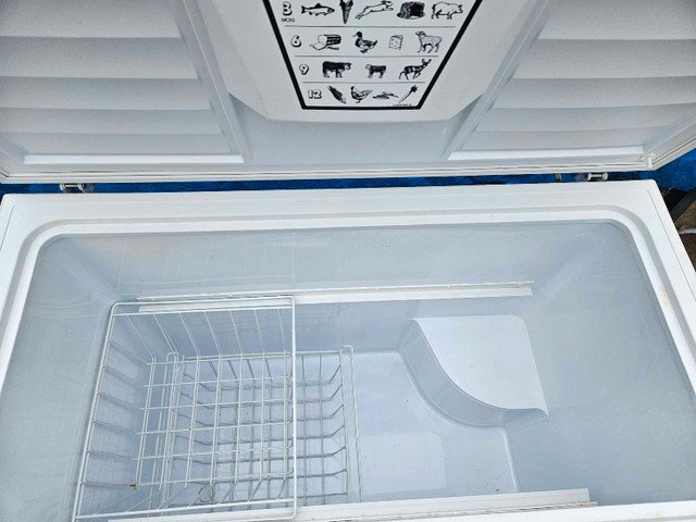 Chest freezer  in Freezers in City of Toronto - Image 4