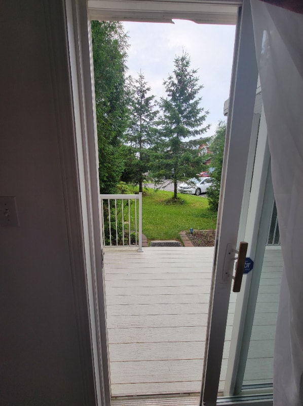 Private bachelor basement with separate entrance at Bank/Walkley Long