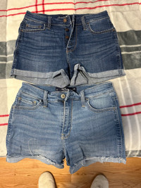 Ladies/Young Teen Girls Jean  Shorts