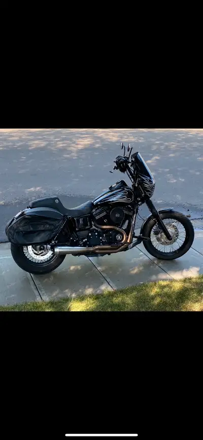 777 woods cams and lifters Chain conversion kit Bassani RR3 pipe Custom dynamics license plate/signa...