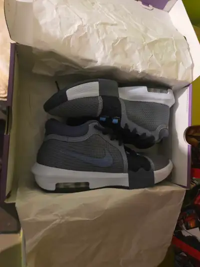 Nike LeBron Witness, View more