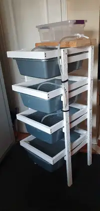 ASF RAT BREEDING RACK WITH WATER SYSTEM