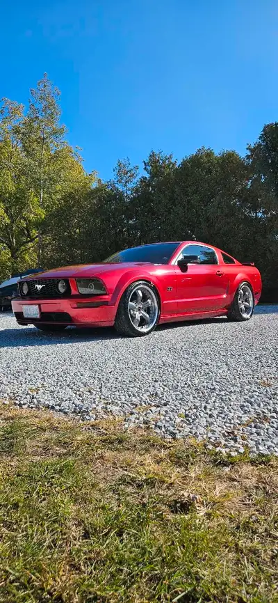 Hi, selling my 2005 mustang GT 4.6 V8 Very clean car always took Very good care of her. Always servi...