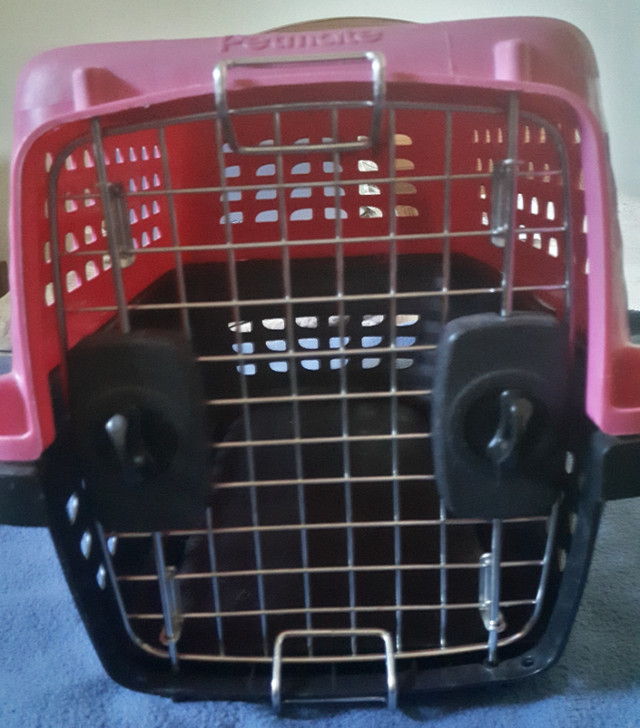 Petmate Compass 19" Pet Cat Dog Carrier Kennel | Accessories | Edmonton |  Kijiji