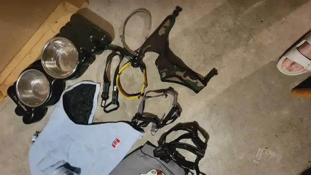 Dog items in Accessories in Saskatoon - Image 3