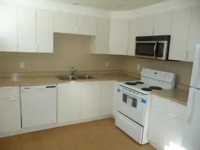 1 bedroom basement suite in Westmount