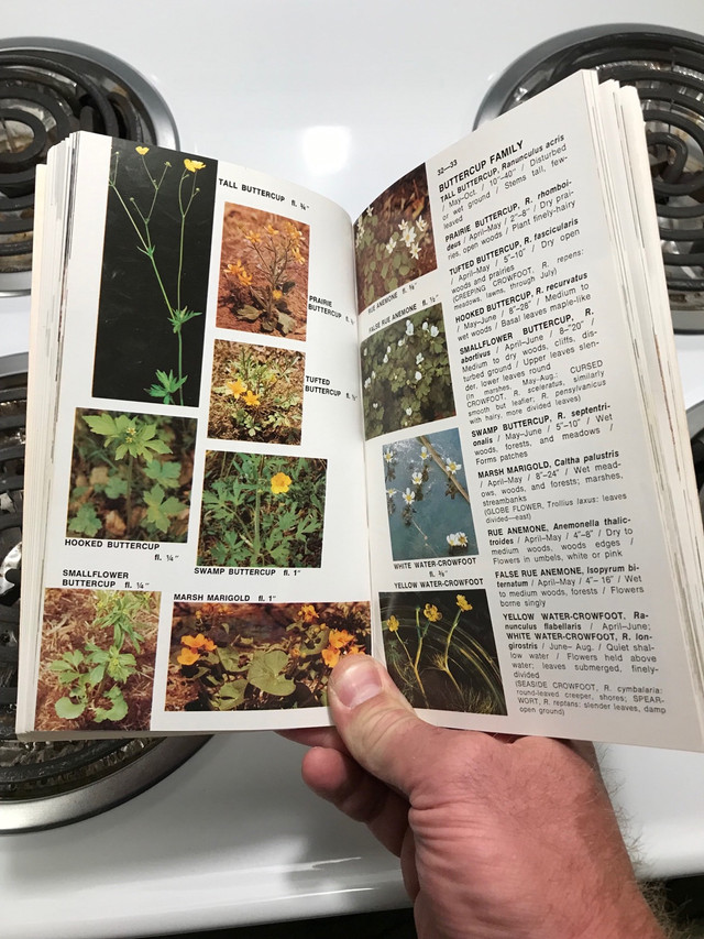 A Guide in Full Color - WILDFLOWERS and WEEDS Book .  in Textbooks in Sarnia - Image 2