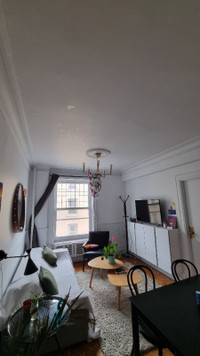 Summer Sublet in Downtown Montreal