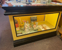 Display case (glass front)