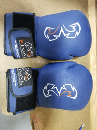 Boxing Gloves, Focus Mitts