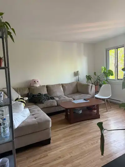 1 chambre à louer - 700$ - H2R2H3 - 1er juillet 2025, 1 an