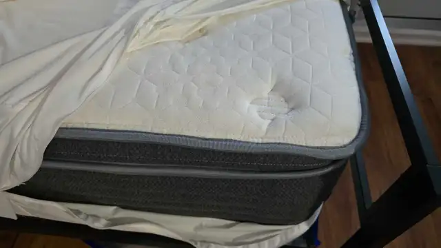 daybed and mattress  in Beds & Mattresses in Ottawa - Image 5