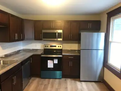 WE HAVE A NEWLY RENOVATED 3 BEDROOM DOWNTOWN UNIT AVAILABLE FOR RENT BEGINNING JUNE 6TH. UNIT HAS BE...