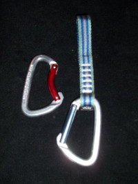 Wild Country Carabiners