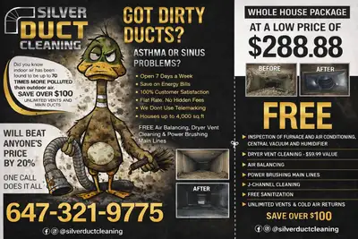 ~ SILVER DUCT CLEANING ~ WHOLE HOUSE PACKAGE ~, View more