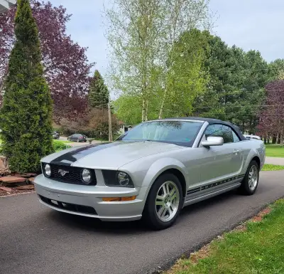 2005 Mustang, 4L, V6, 157,000 miles. Automatic, great on fuel. $11,000.