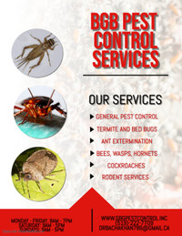 BEST PRICED PEST CONTROL SERVICES