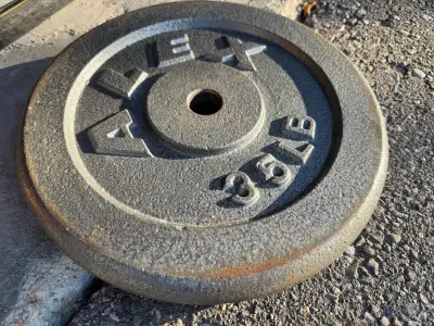 35 lbs cast iron weight plates (2x), View more
