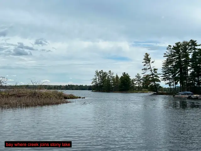 Stony Lake Cottage in Ontario in Canada - Image 12