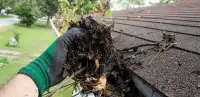 Roof and Gutter / Eavestrough Cleaning & More.