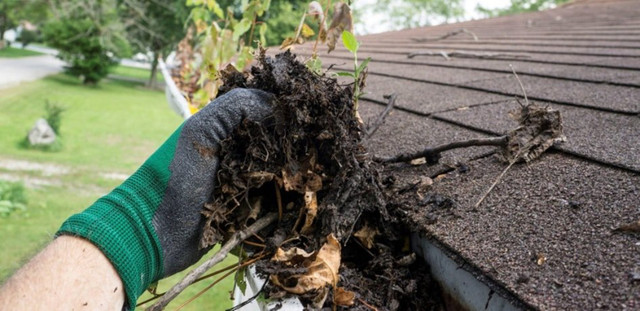 Roof and Gutter / Eavestrough Cleaning & More. in Cleaners & Cleaning in Oshawa / Durham Region