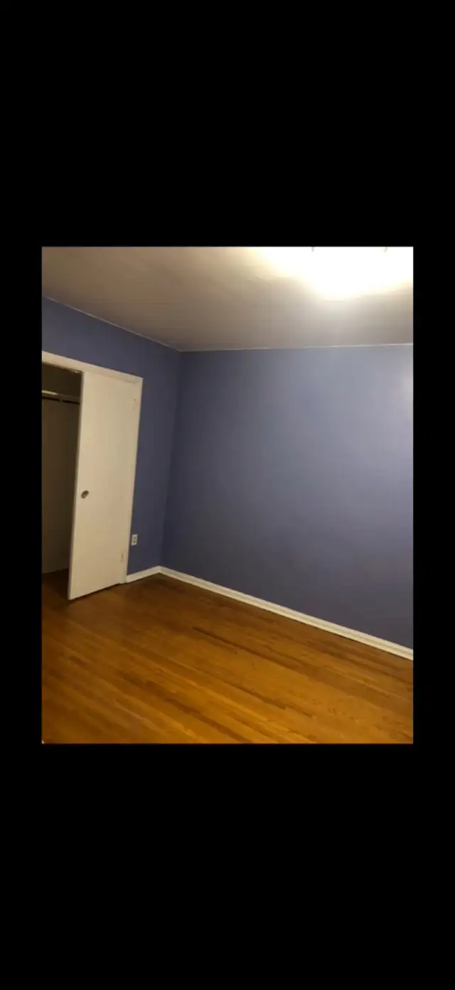  A present for Rent459276714393610242