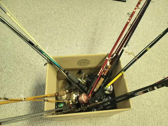 Fishing Rods & Reels