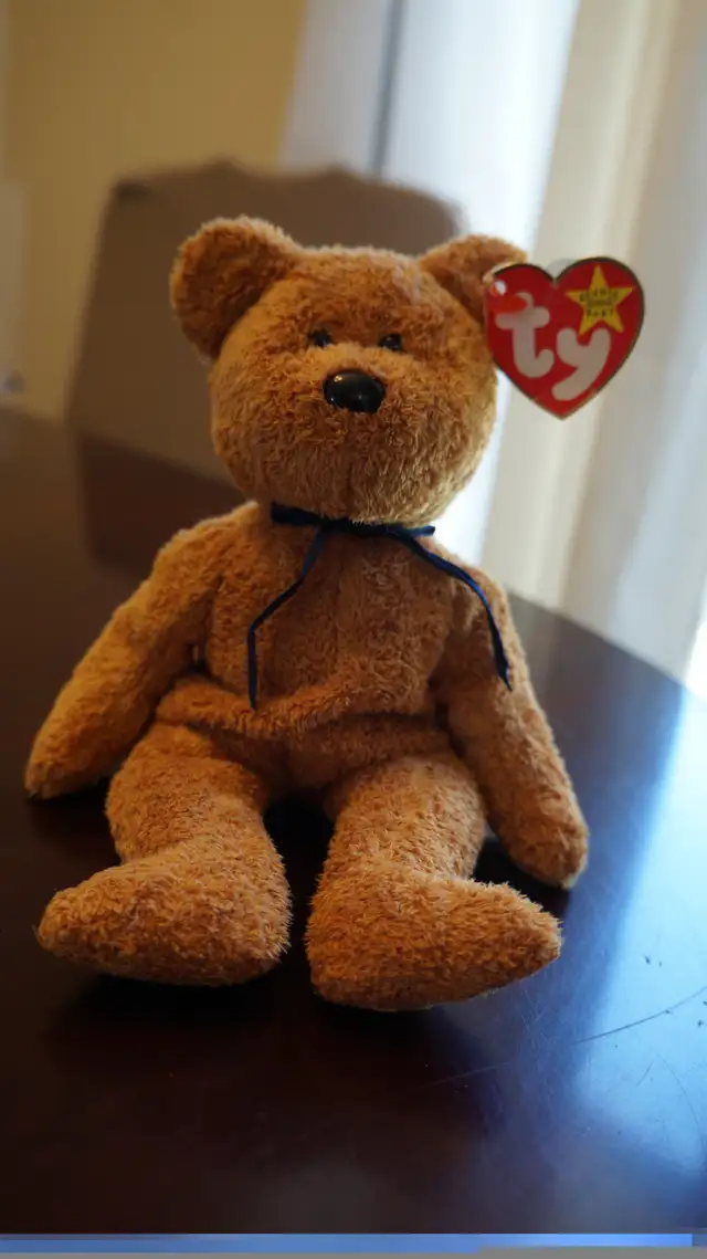 BEANIE BABYS in Other in Norfolk County - Image 10
