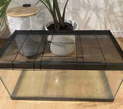 15 GALLON TERRARIUM/AQUARIUM, View more