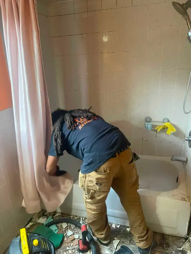 Mold Removal Specialist525757186080788485