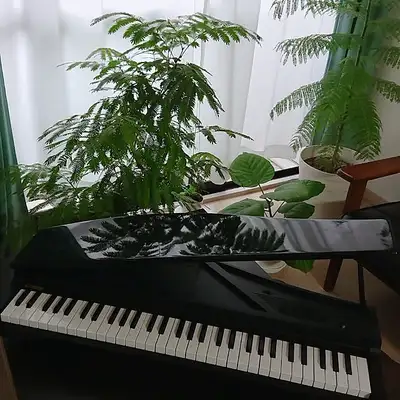 Korg microPiano, View more