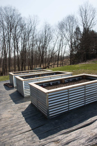 Looking for: Galvanized Steel Raised Garden Beds (West Ottawa)