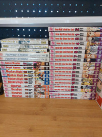 Manga books 