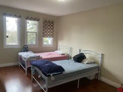 1 Room for 2 Girls or Couple at Brampton near Brampton Terminal Rent $450 each Include Utilities,Mat...