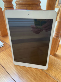 iPad Mini 1st Generation 