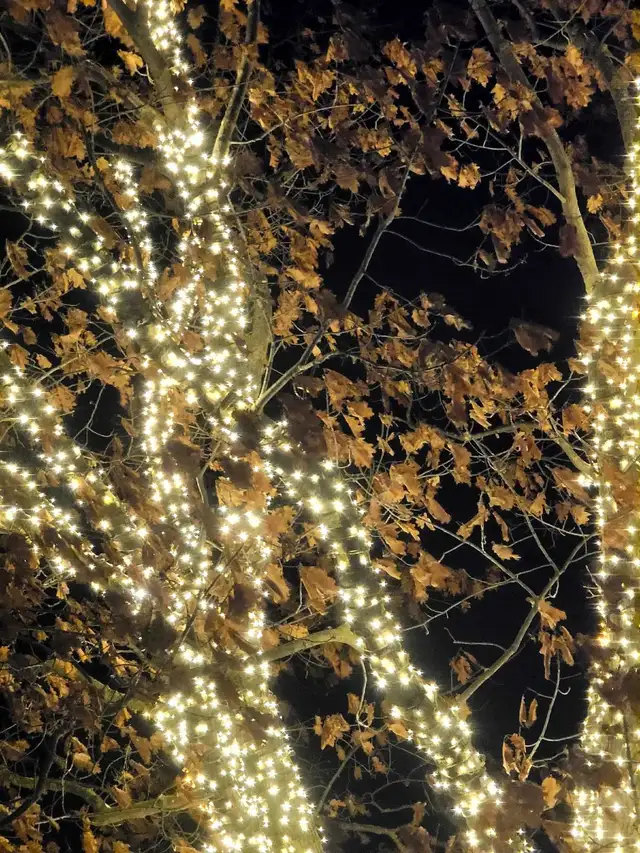 Massage (Mobile) FREE!64744753099522120