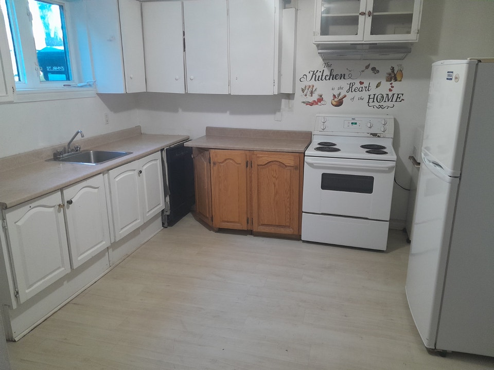 2-Bedroom Above Ground Basement apartment for Rent 2