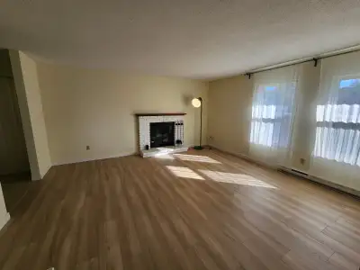 A place you will want to call home- the newly renovated 3-bedroom upper level house offers tons of l...