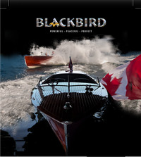 2008 BLACKBIRD CRUSADER